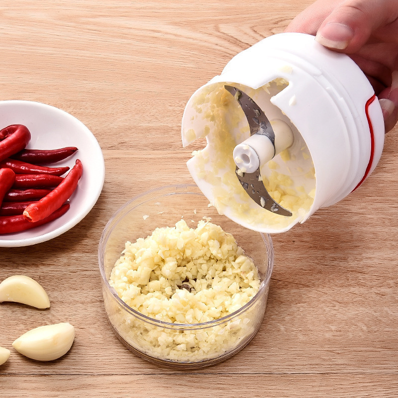 1PC Mini Garlic Crusher Press  - Kitchen Gadgets Vegetable Chopper ulasan dan harga