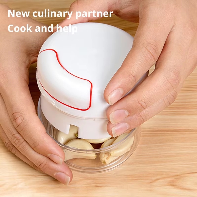 1PC Mini Garlic Crusher Press  - Kitchen Gadgets Vegetable Chopper ulasan dan harga