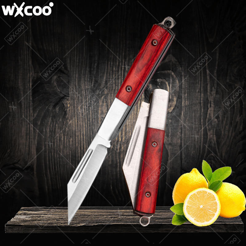 Stainless Steel Pocket Knife R - Kitchen Gadgets China ulasan dan harga