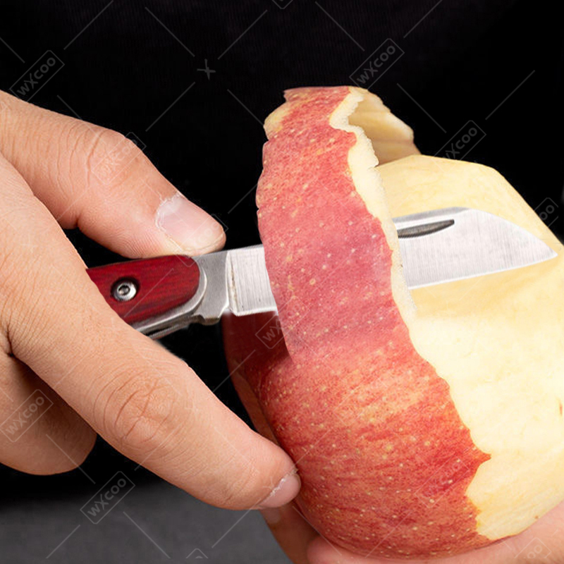 Stainless Steel Pocket Knife R - Kitchen Gadgets China ulasan dan harga