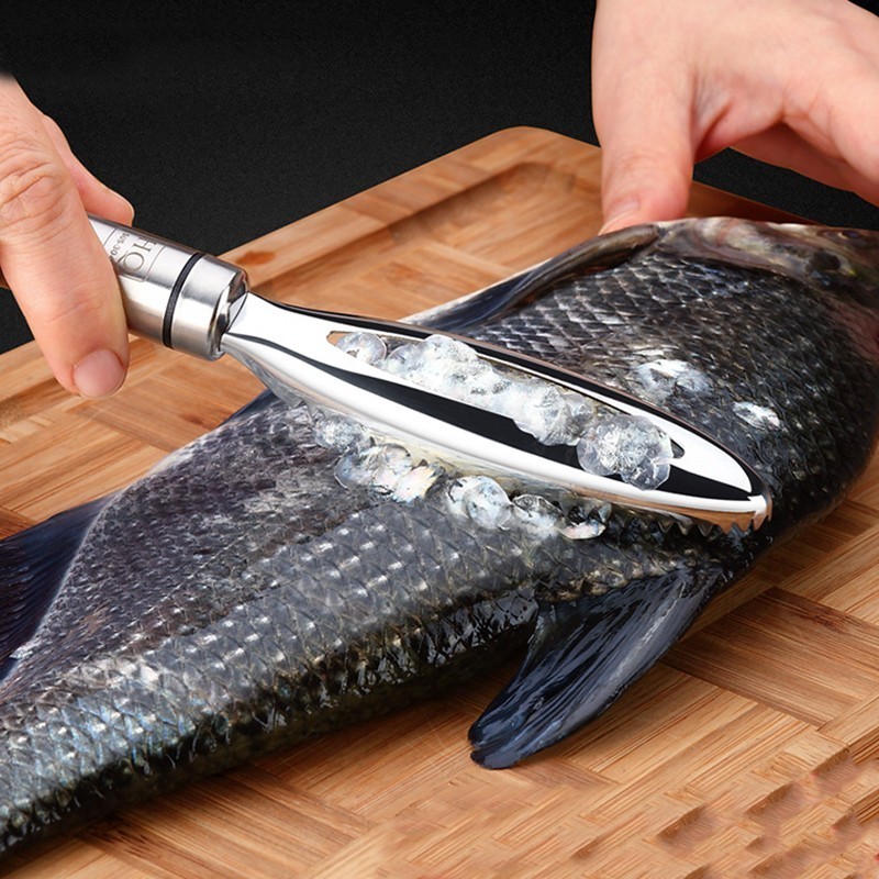 Stainless Fish Scales Scraping - Kitchen Gadget Amazon ulasan dan harga